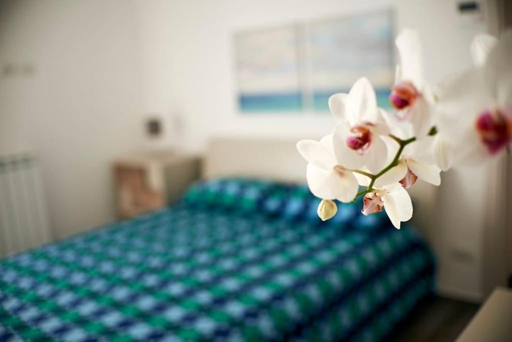 San Vito Apartament Polignano a Mare Εξωτερικό φωτογραφία