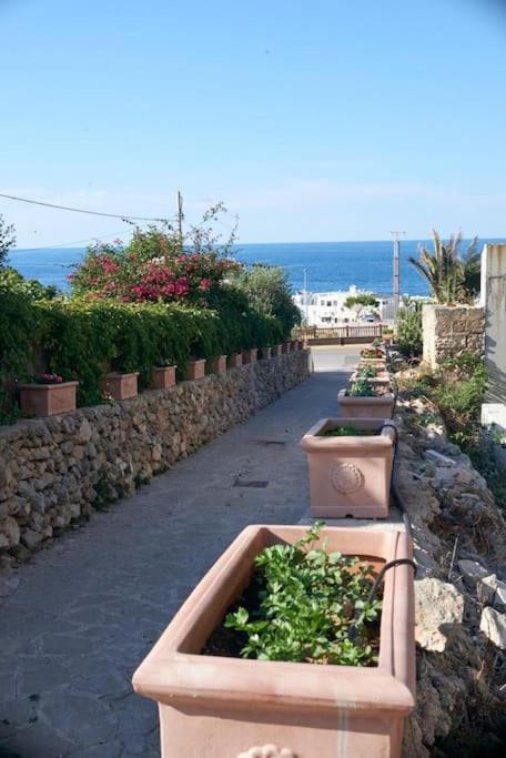 San Vito Apartament Polignano a Mare Εξωτερικό φωτογραφία